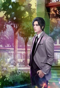 妻乃大元帥
