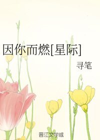因你而燃[星際]